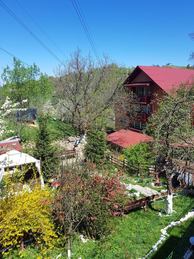 Pension Bran Ioana Hotel Екстериор снимка